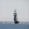 Båt &raquo; Tall Ship Race 